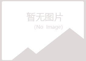 文登字迹金属有限公司